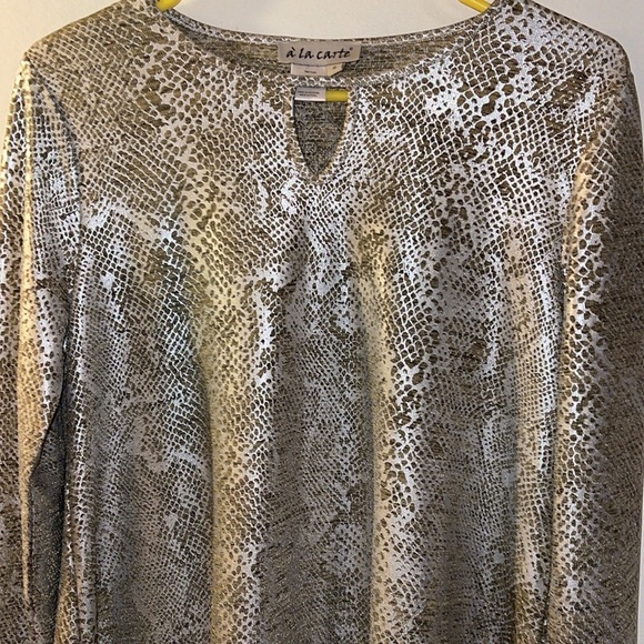 🌹A’LACARTE SILVER/TAN TUNIC BLOUSE - Picture 2 of 6